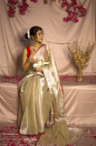 Rose Gold With Red Border Raga Tissue Saree