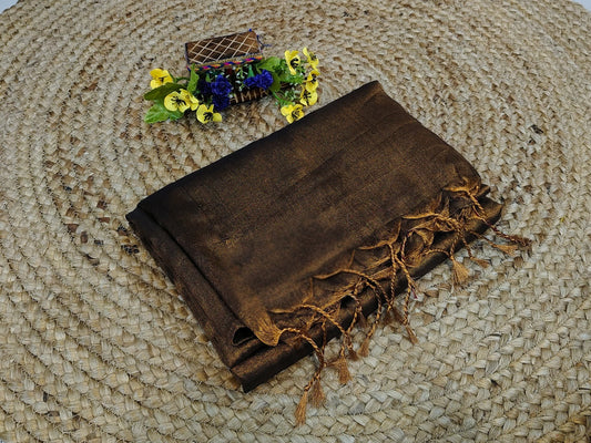 Copper Raga Tissue Saree