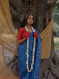 Royal Blue Raga Tissue Saree