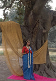 Royal Blue Raga Tissue Saree