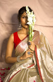 Rose Gold With Red Border Raga Tissue Saree
