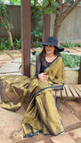 Metallic golden with black border Raga Tissue Saree