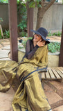 Metallic golden with black border Raga Tissue Saree